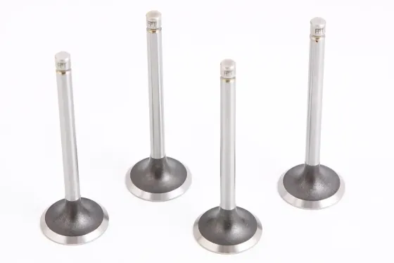 Клапани 2101 «Prima» впускні (4 шт.) Вінниця