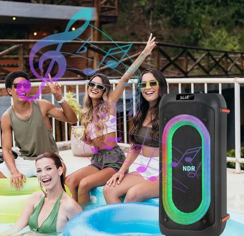 Портативна акустична колонка NDR-717 2x8" TWS/FM/USB/TF/BT/LED/REC з пультом та 2 мікрофонами Одеса - фото 7