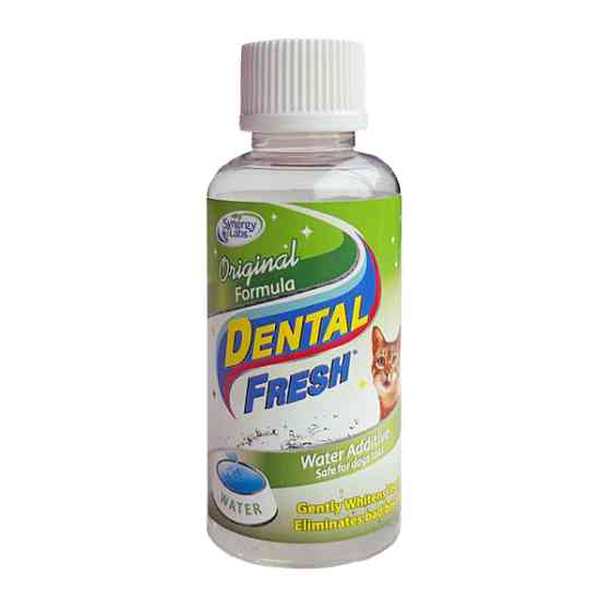 SynergyLabs Dental Fresh Cat СИНЕРДЖИ ЛАБС СВЕЖЕСТЬ ЗУБОВ жидкость от зубного налета и запаха из пасти кошек Киев