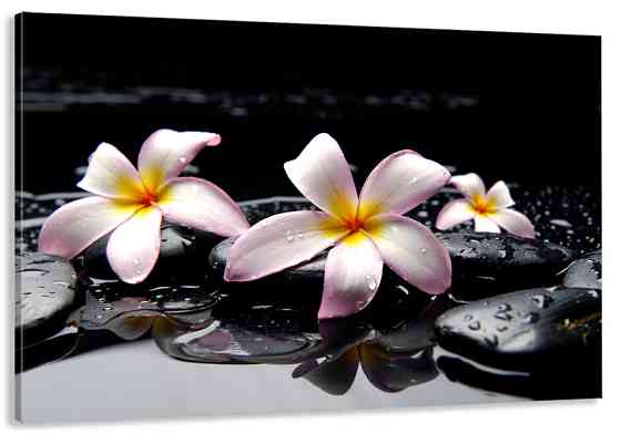 Картина холст в гостиную / спальню Плюмерія    MLP_97 70x140 см Киев