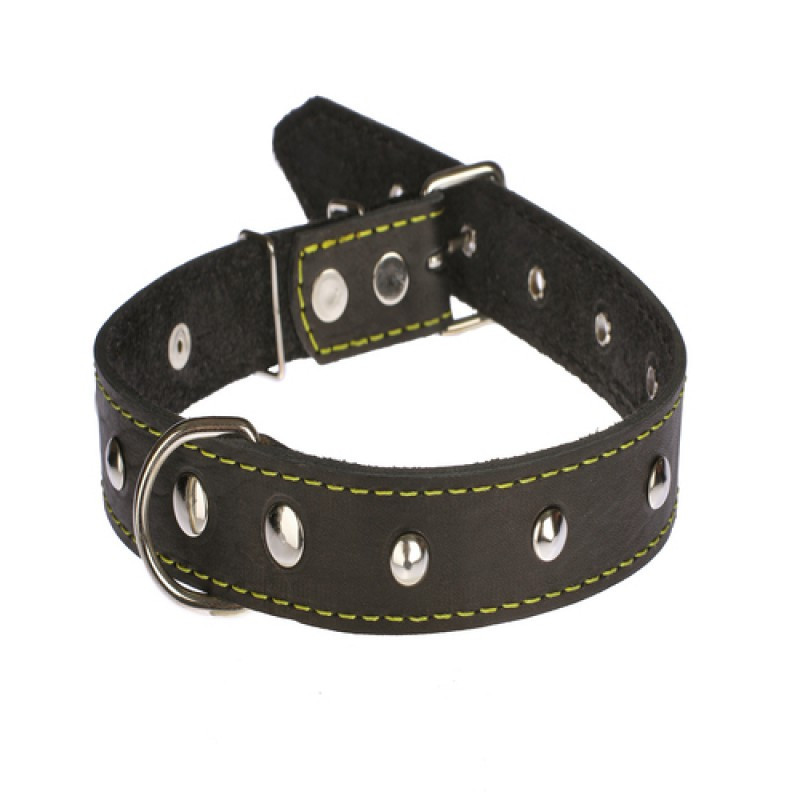 Нашийник 413 30 мм "Класик" шкіряний прикрашений Вінниця - фото 1