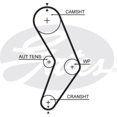 Ремінь ГРМ Gates 5662XS Вінниця - фото 1
