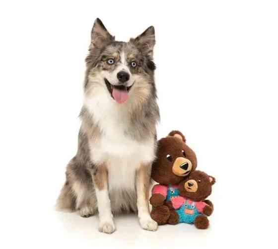 М'яка іграшка для собак FuzzYard Ведмедик Пушик S Луцк