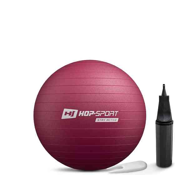 Фітбол Hop-Sport 45см HS-R045YB сливовий + насос Київ