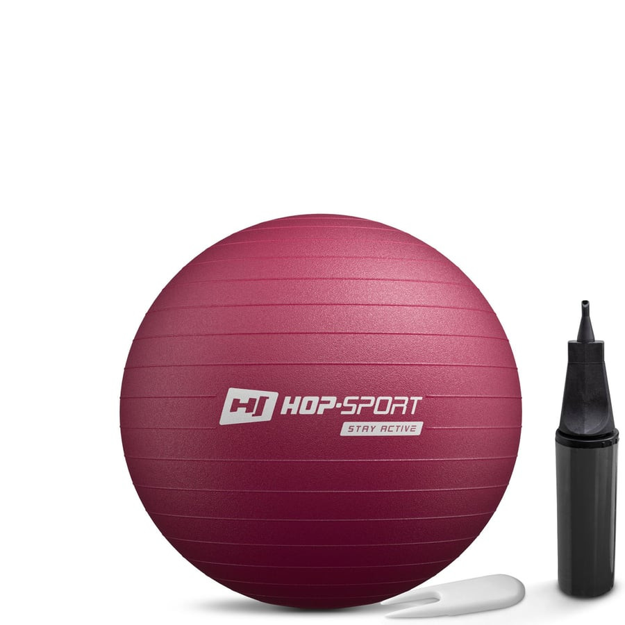 Фітбол Hop-Sport 45см HS-R045YB сливовий + насос Київ - фото 1