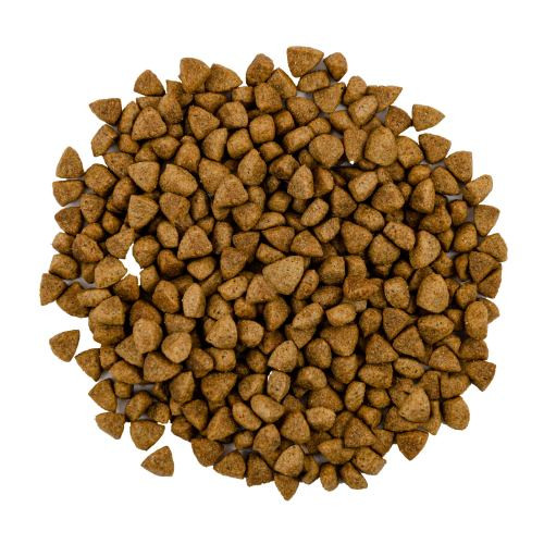 Корм сухой Savory Adult Cat Steril Fresh Lamb and Chicken для стерилизованных кошек с ягнятиной и курицей 2 кг Киев - изображение 2