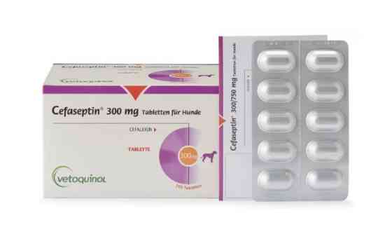 Цефасептин (Cefaseptin) 300 мг №10 таблеток 1т/20 кг (для лікування собак при захворюваннях шкіри) Vetoquinol Вінниця