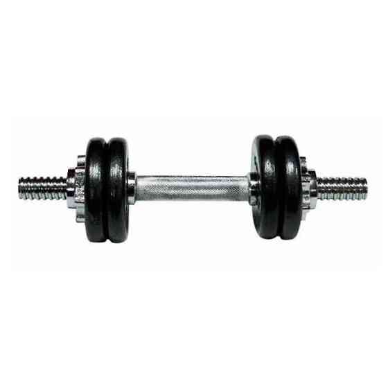 Гантель наборная литая 1шт 10 кг TI-968-747 Винница