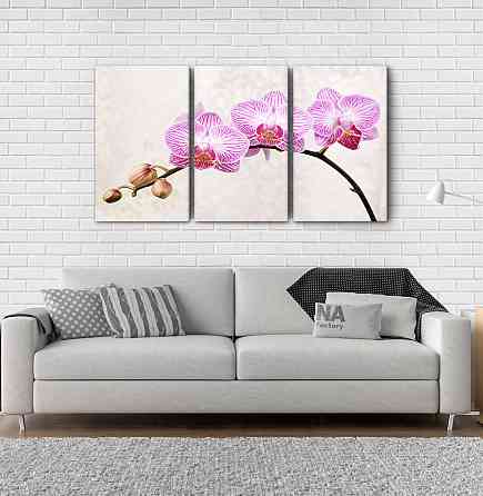 Модульна картина Квіти Орхідея Аrt-138_3А Київ