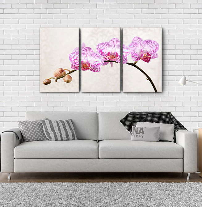 Модульна картина Квіти Орхідея Аrt-138_3А Київ - фото 2