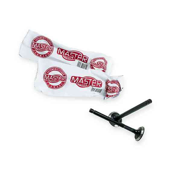 Клапана Master Sport випуск 2101 Мукачево