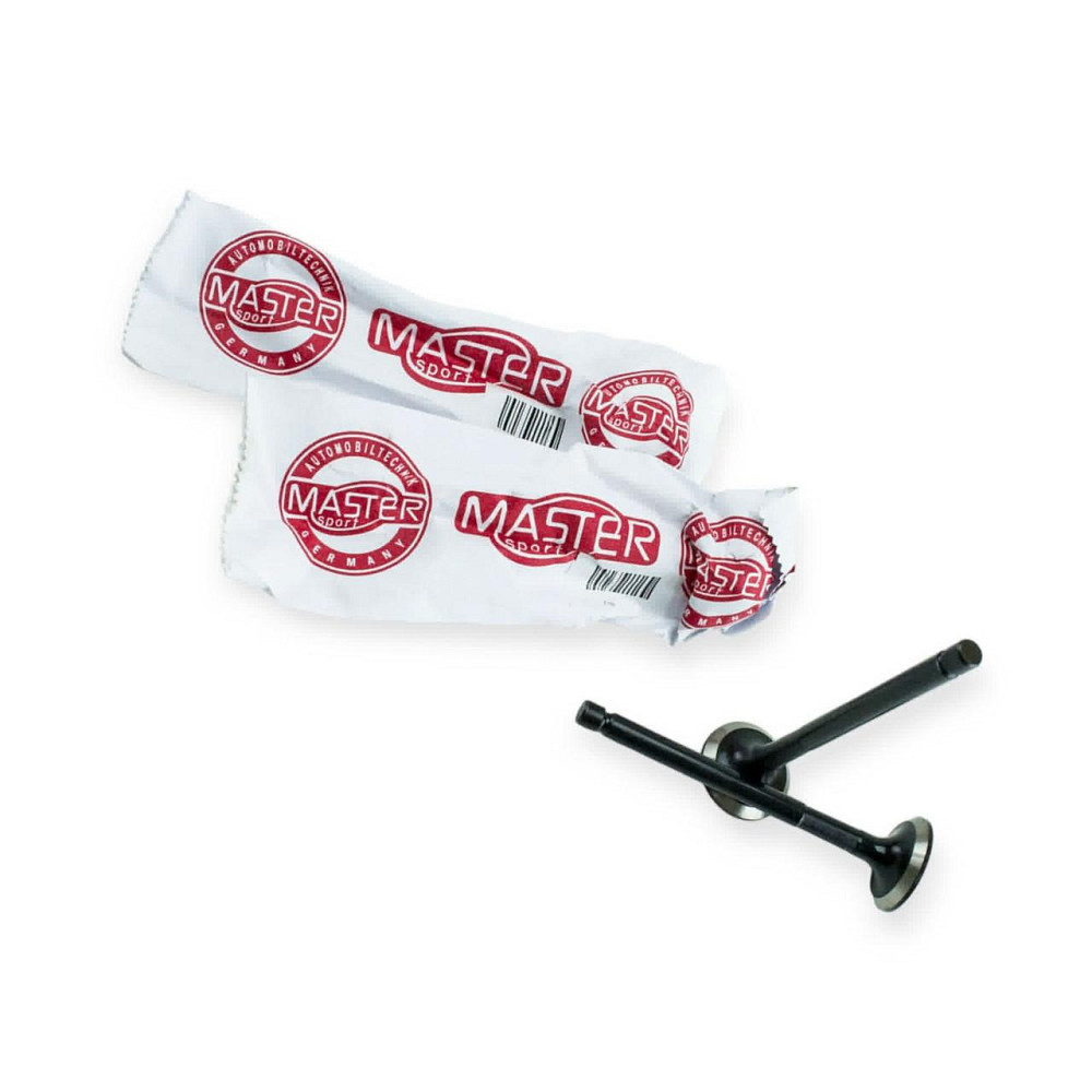 Клапана Master Sport выпуск 2101 Мукачево - изображение 1