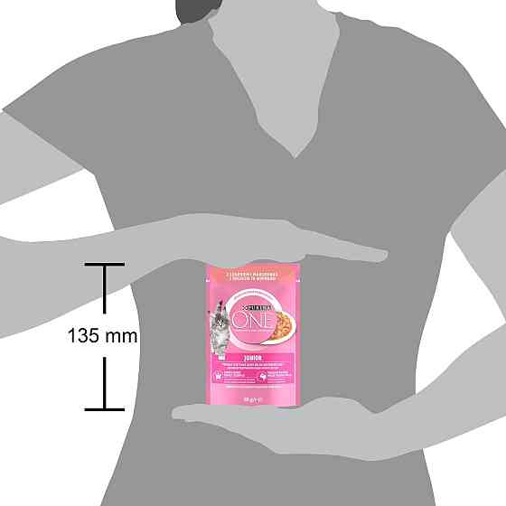Влажный корм PURINA ONE Junior для котят, кусочки в соусе, с лососем и морковью, 85 г Киев