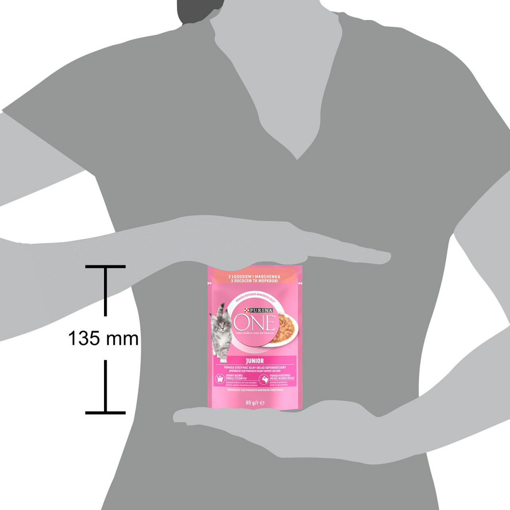 Вологий корм PURINA ONE Junior для кошенят, шматочки в соусі, з лососем та морквою, 85 г Київ - фото 2
