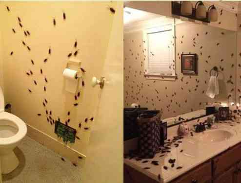 Искусственные тараканы 10 штук 14 на 45 мм коричневый Киев