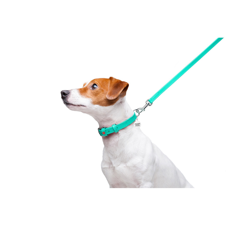 Повідець для собак шкіряний WAUDOG Glamour, Ш 12 мм, Дов 122 см ментоловий Коломия - фото 3