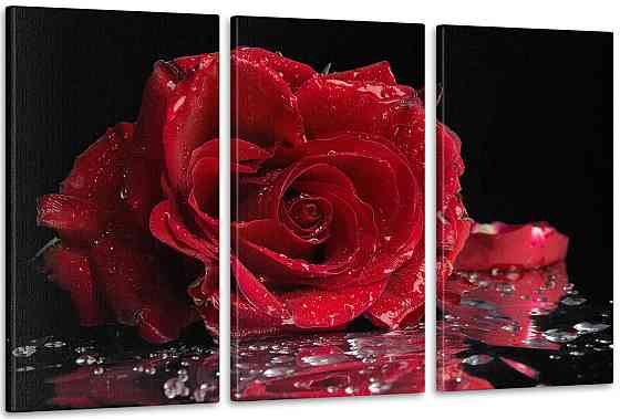 Модульна картина Роза Арт-101_3А 100x150 см Київ