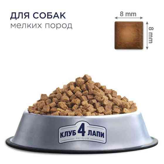 Club 4 Paws (Полуб 4 Лапи) Premium Adult Small Breed Chicken сухий корм із куркою для собак малих порід Запоріжжя
