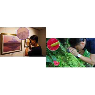 Бинокль Pentax UP 8.5x21 Papillio II (930160) Винница