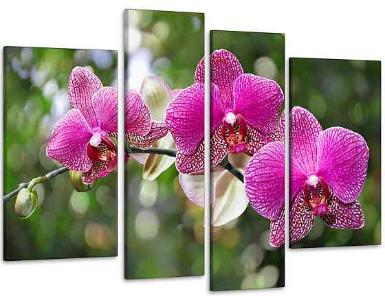 Модульна картина Квіти Орхідея Art-82_4 Київ