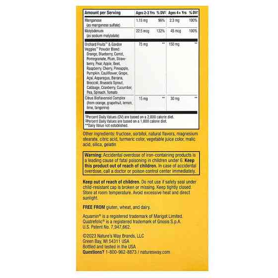 Витамины для детей Nature's Way Alive! Multi-Vitamin 120 жев таблеток Апельсин и ягоды Киев