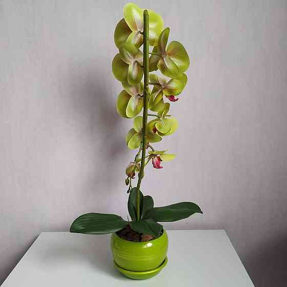 Штучна латексна орхідея VIP в салатовому керамічному кашпо на одну гілку салатово-рожева Дніпро