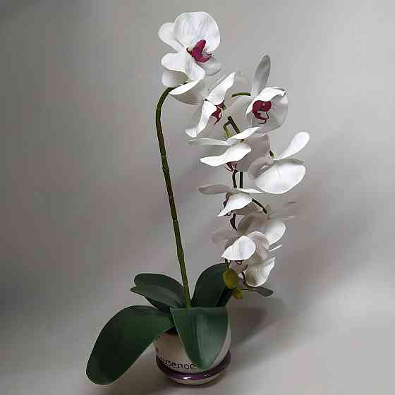 Штучна латексна орхідея VIP у білому керамічному кашпо на одну гілку біла Дніпро