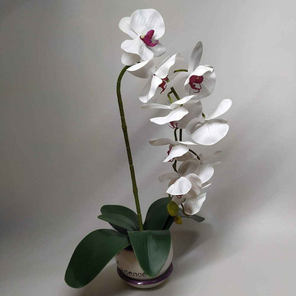 Штучна латексна орхідея VIP у білому керамічному кашпо на одну гілку біла Дніпро - фото 2