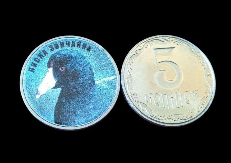 Україна 5 копійок монета нової серії ПРИРОДА УКРАЇНИ ЛИСКА ЗВИЧАЙНА Полтава - фото 1