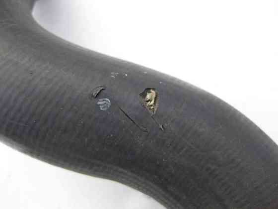 Mercedes-Benz  A2115010882 Патрубок радіатора правий, є тріщини для двигуна OM646 R4 2.2 cdi E-Class W211 Одесса