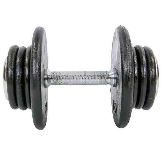 Гантель 20 кг цільна професійна RECORD-7231-20 Київ