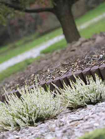 Палісад садовий Prosperplast Garden BORDER, коричневий, 2,5 м Київ