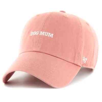 Кепка 47 Brand Phrase Base Runner Icon BSRIC1411GWS-AK рожевий (198742422607) Вінниця