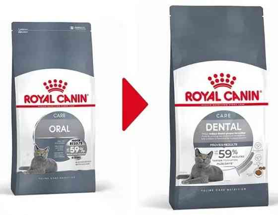 Royal Canin Oral Care (Роял Канин Орал Кер) сухой корм для котов от 12 месяцев при образовании зубных камней 8 кг. Запорожье