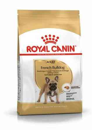 Royal Canin French Bulldog Adult (Рояв Канін Френч Бульдог Едалт) корм для французьких бульдогов від 12 місяців 3 кг. Запоріжжя