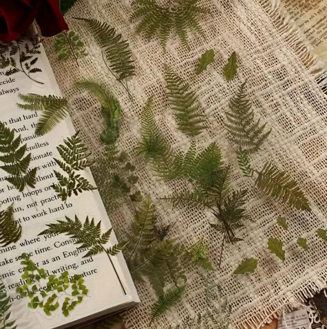 Глянцевые наклейки с зелеными листьями папоротника, 6 листов, самоклеящиеся ПВХ-стикеры с блестящим покрытием Киев - изображение 3