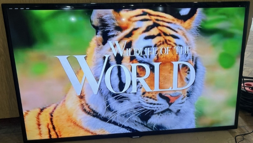 Телевизор Samsung 46