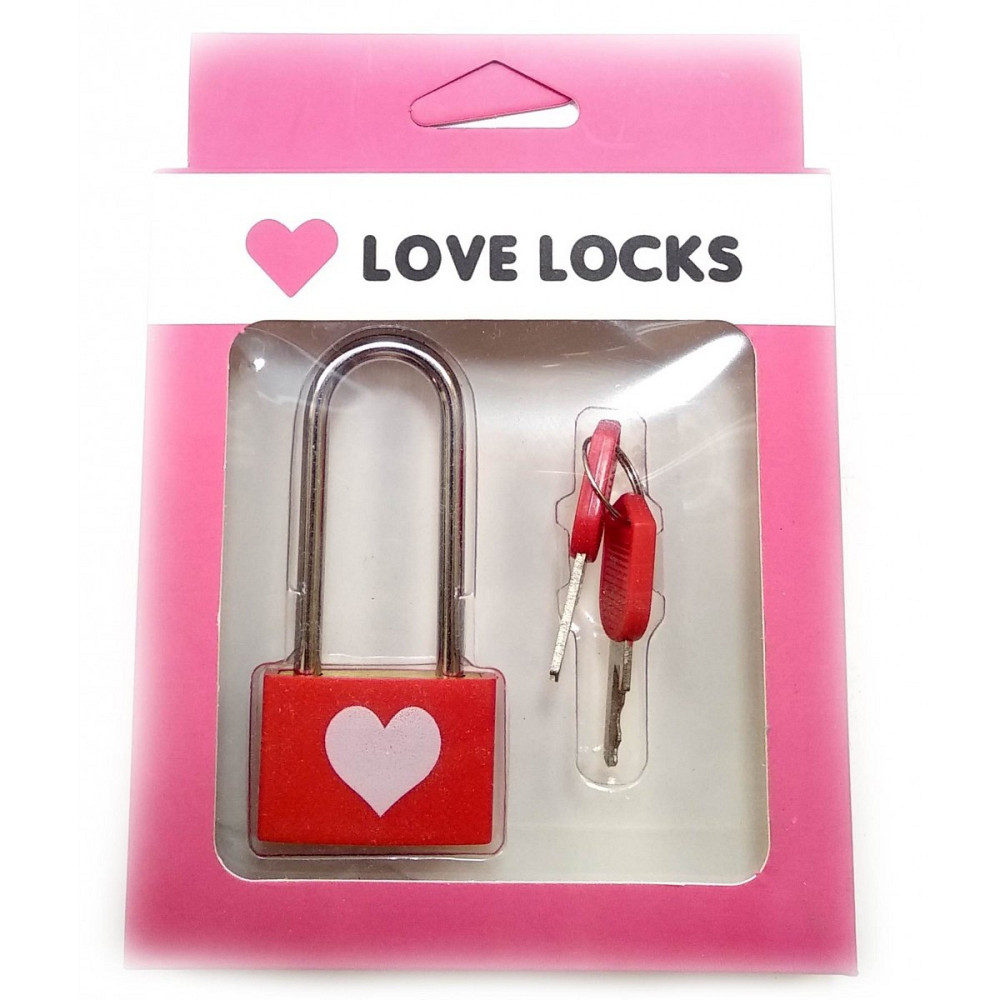 Свадебный замок любви Киев - изображение 2