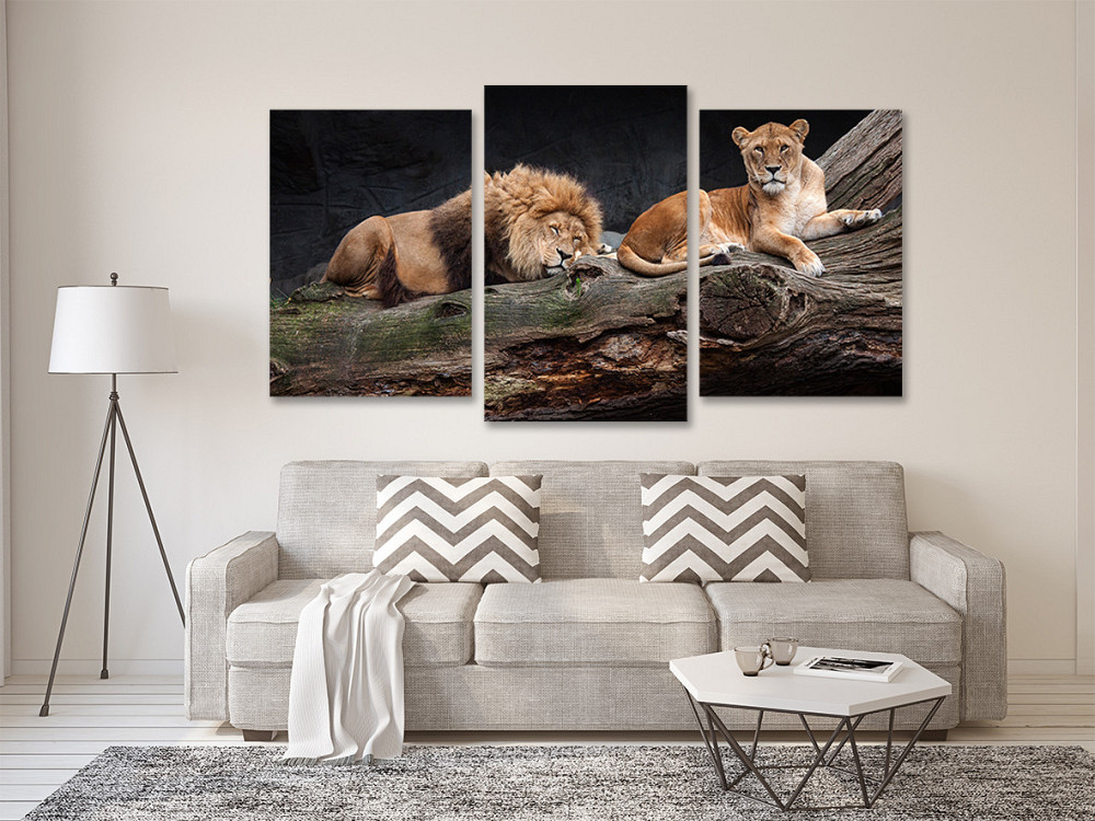 Модульна картина у вітальню/ спальню Пара Левев Art-563_3 70x130 см Київ - фото 2