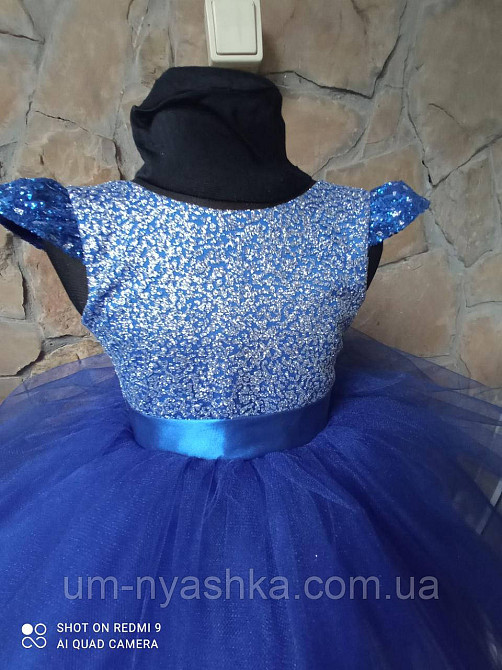 Пышное нарядное синее платье на девочку на 3-5 лет Кривой Рог - изображение 5