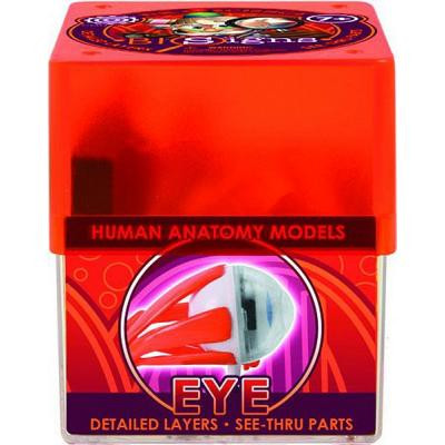 Набір для експериментів Professor Ein-O Око (E2370EE) Вінниця - фото 2