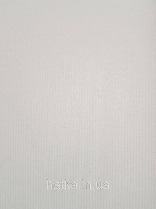Шпалери флізелінові еко Rasch Sophia 0.53х10 смужки тонкі білі світло-бежеві Київ - фото 2