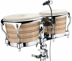 Мікрофон REMIC D5401LB WLM Live | Мікрофон do kontrabasu koncertowego Київ