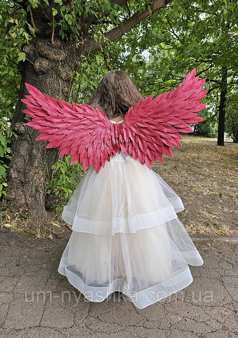 Червоні Крила великі Кривий Ріг - фото 2