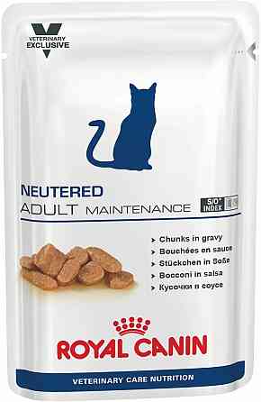 Royal Canin Neutered Adult Maintenance (Роял Канін Ньютед Едалт) вологий корм для стерилізованих кішок 0.085 кг. Запоріжжя