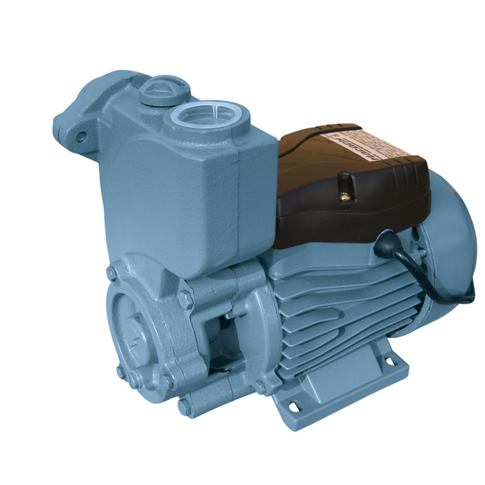 Електронасос вихровий NPO TPS 60 Київ - фото 1