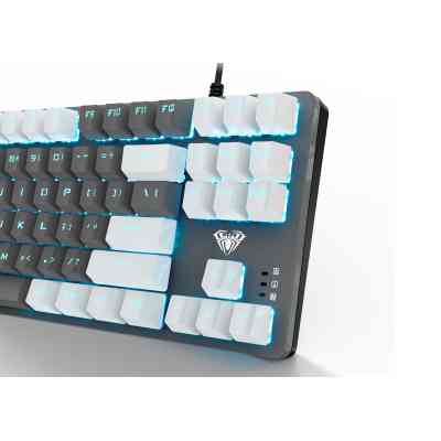 Клавіатура Aula F3287 Keycap KRGD Blue USB UA White/Grey (6948391240688) Вінниця