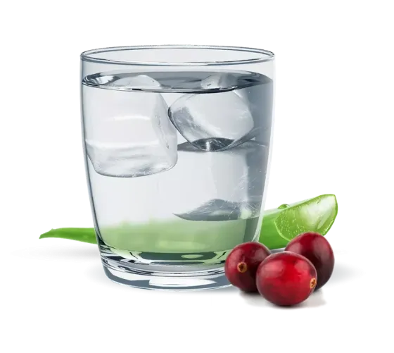 Алое журавлина Рослинний концентрат Гербалайф Напій для Травлення, 473 мл Напій на Основі Алое Дніпро