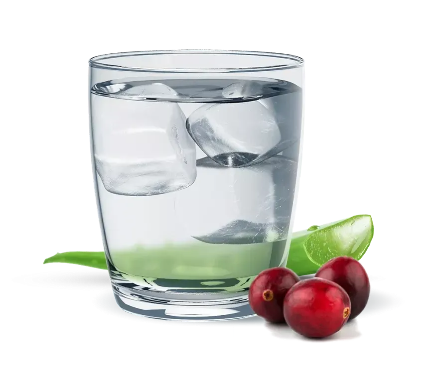 Алое журавлина Рослинний концентрат Гербалайф Напій для Травлення, 473 мл Напій на Основі Алое Дніпро - фото 2