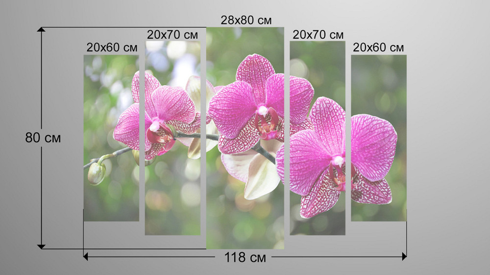 Модульная картина Орхидея Art-112_5 Киев - изображение 3